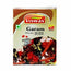 VISWAS GARAM MASALA 100G